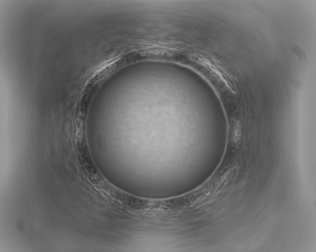 X0000116491350200912091412