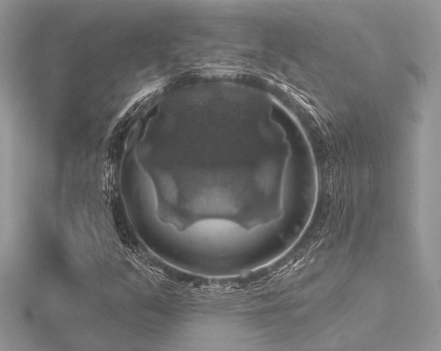 X0000116491351200912091412