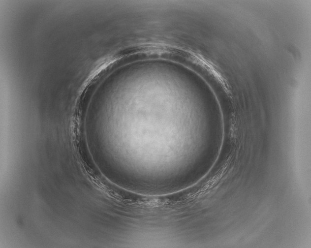 X0000116491352200912091412