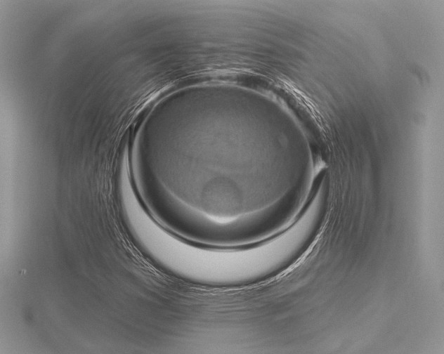 X0000116491353200912091412