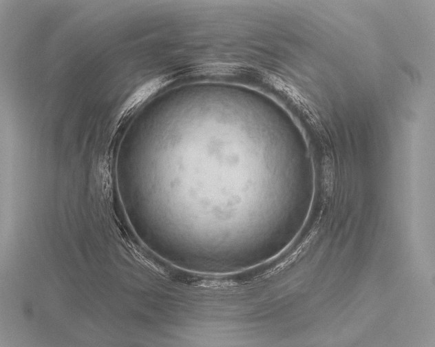 X0000116491354200912091412