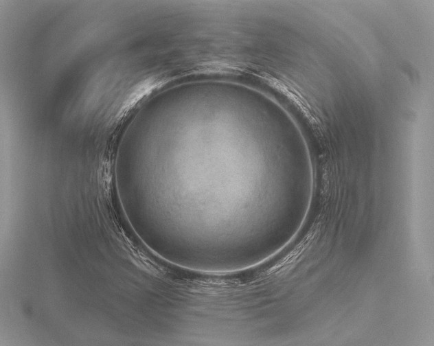 X0000116491355200912091412