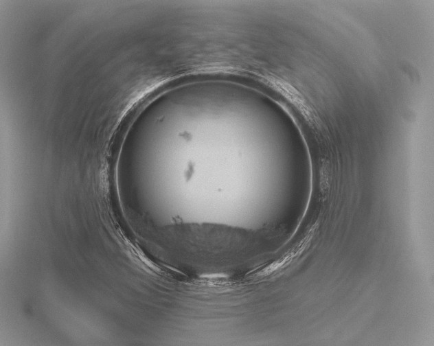 X0000116491356200912091412