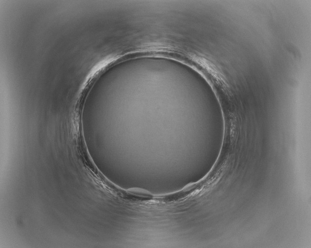 X0000116491358200912091412