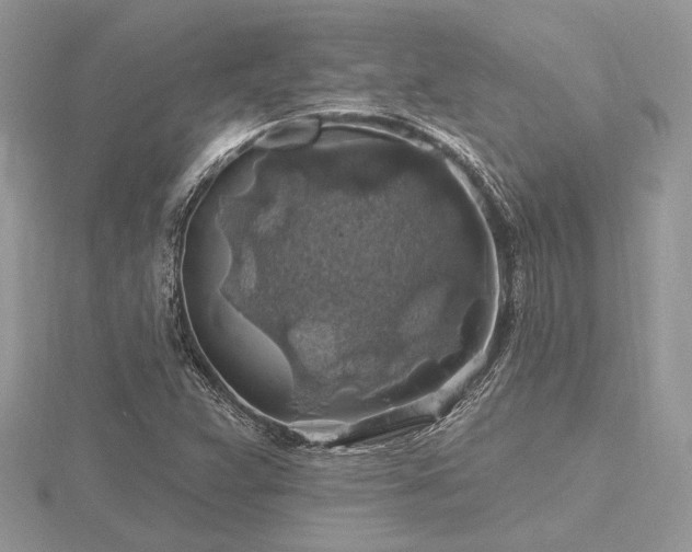 X0000116491359200912091412