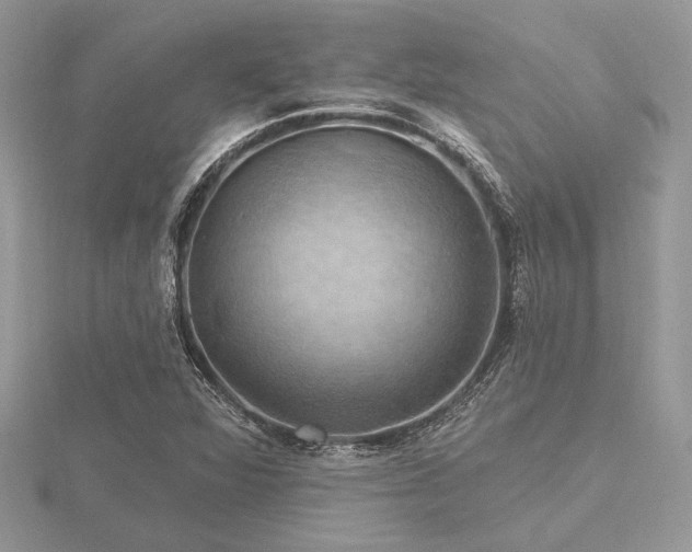 X0000116491360200912091412