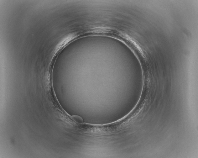 X0000116491362200912091412