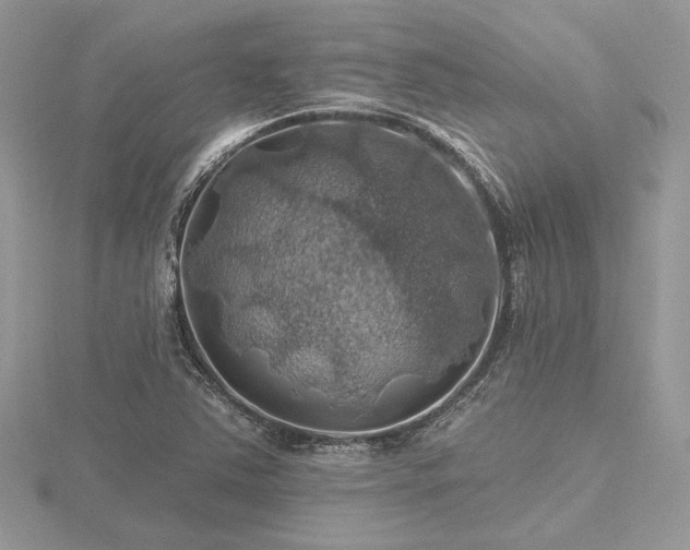 X0000116491363200912091412