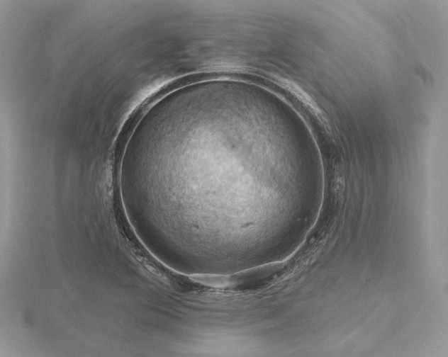 X0000116491364200912091412