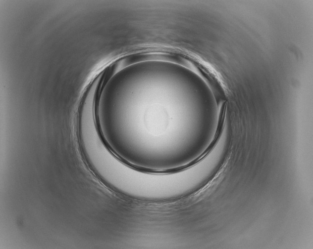 X0000116491365200912091412