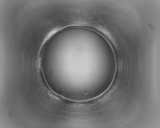 X0000116491366200912091412