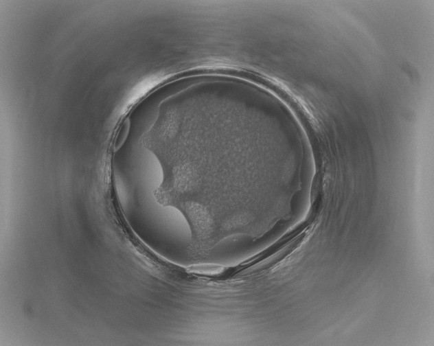 X0000116491367200912091412