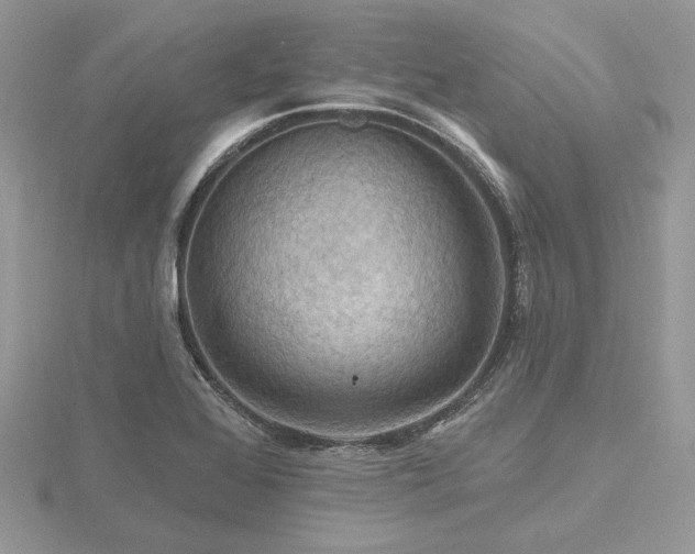 X0000116491368200912091412