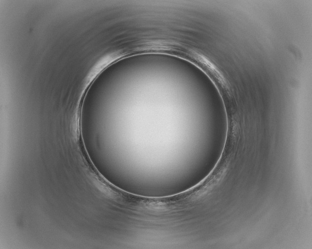 X0000116491370200912091412