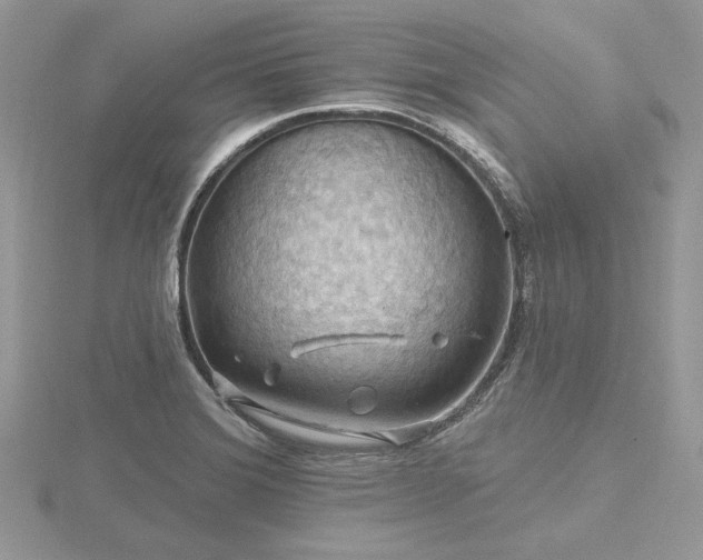 X0000116491372200912091412