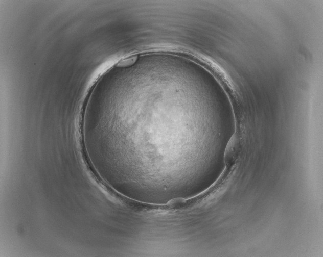 X0000116491373200912091412