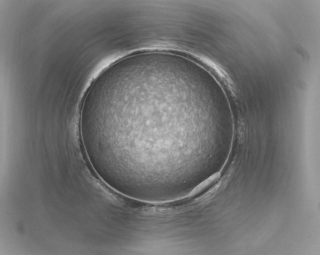 X0000116491374200912091412