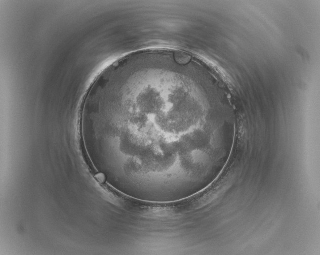 X0000116491375200912091412