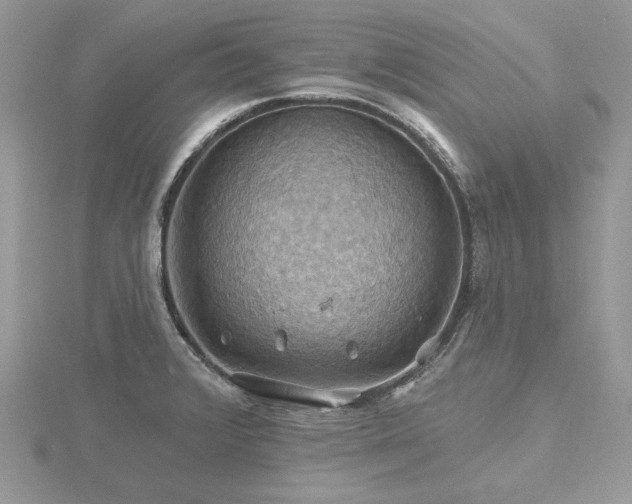 X0000116491376200912091412