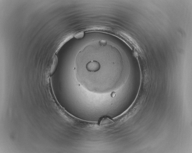 X0000116491377200912091412