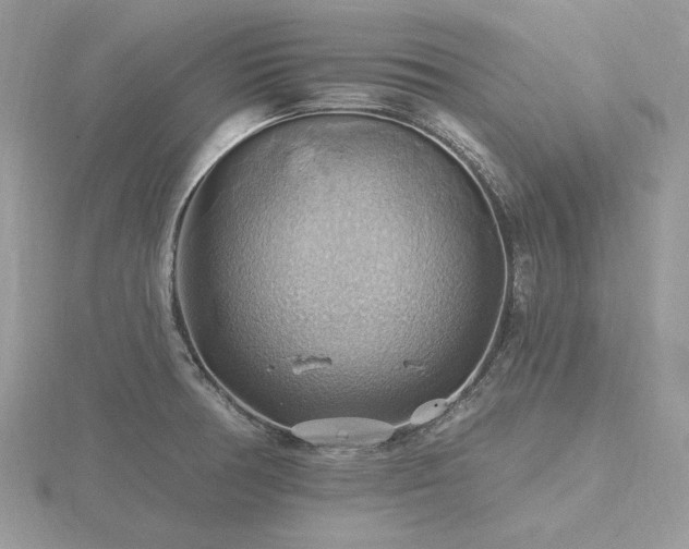 X0000116491378200912091412