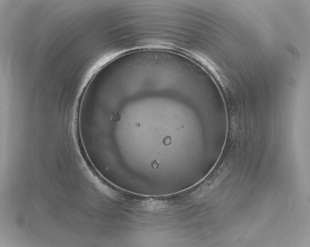 X0000116491379200912091412