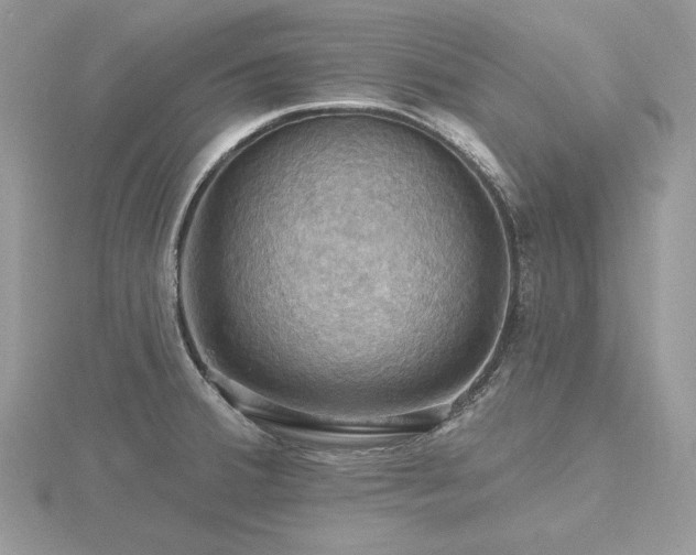 X0000116491380200912091412