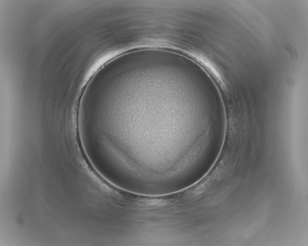 X0000116491382200912091412