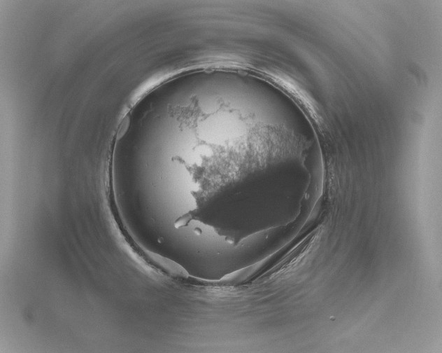 X0000116491383200912091412