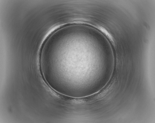 X0000116491384200912091412