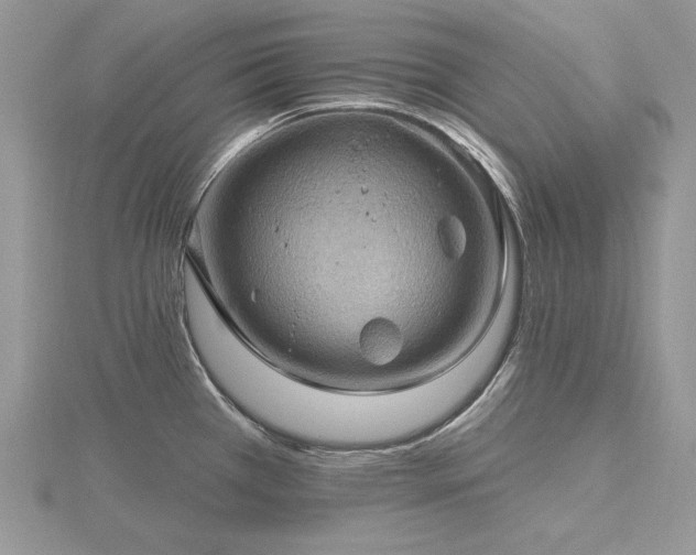 X0000116491385200912091412