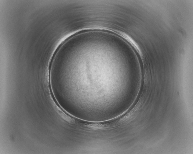 X0000116491388200912091412