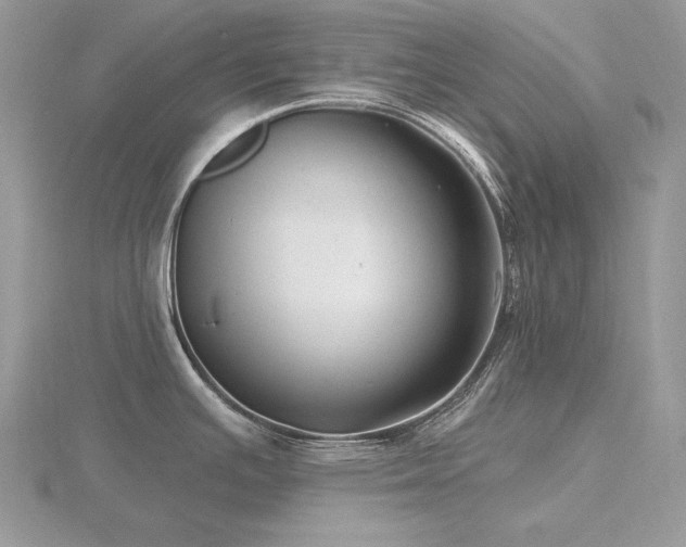 X0000116491391200912091412