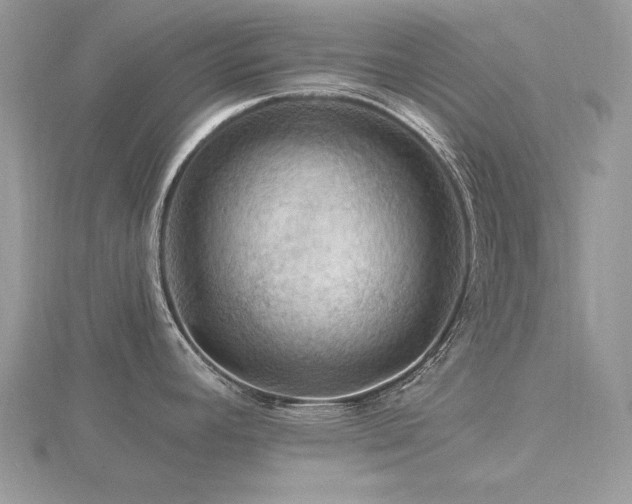 X0000116491392200912091412