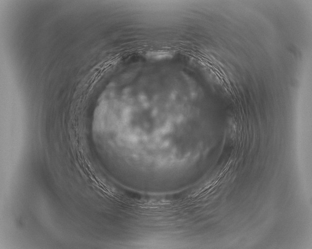 X0000116491393200912091411