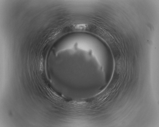 X0000116491394200912091411