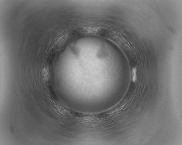 X0000116491395200912091411