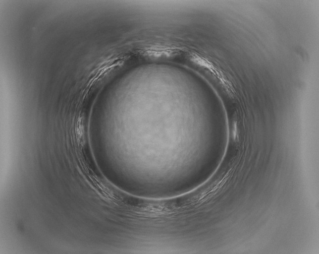 X0000116491396200912091411