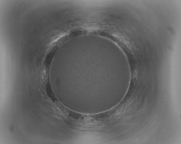 X0000116491398200912091411