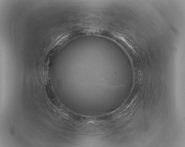 X0000116491399200912091411