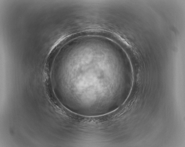 X0000116491400200912091411