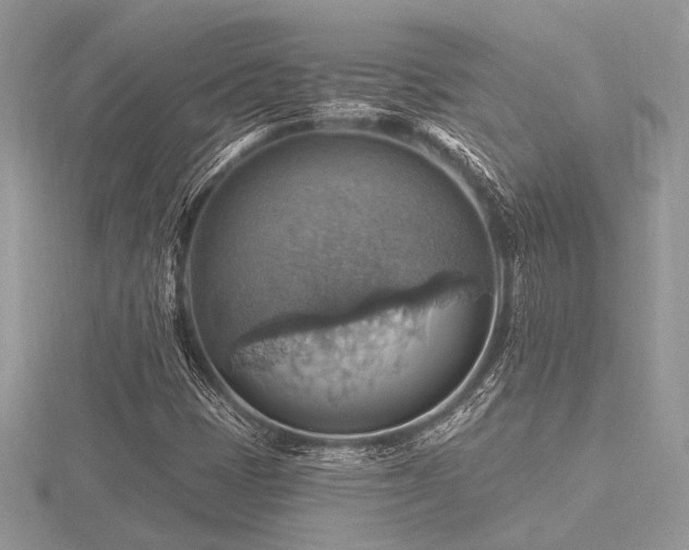 X0000116491401200912091411