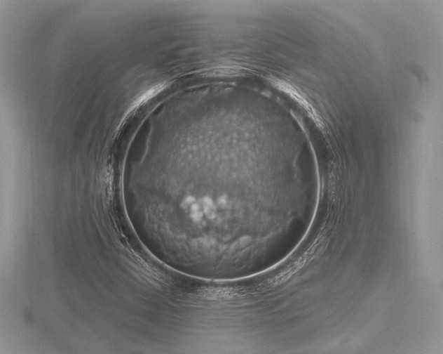 X0000116491402200912091411