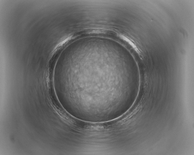 X0000116491403200912091411