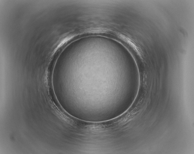 X0000116491404200912091411