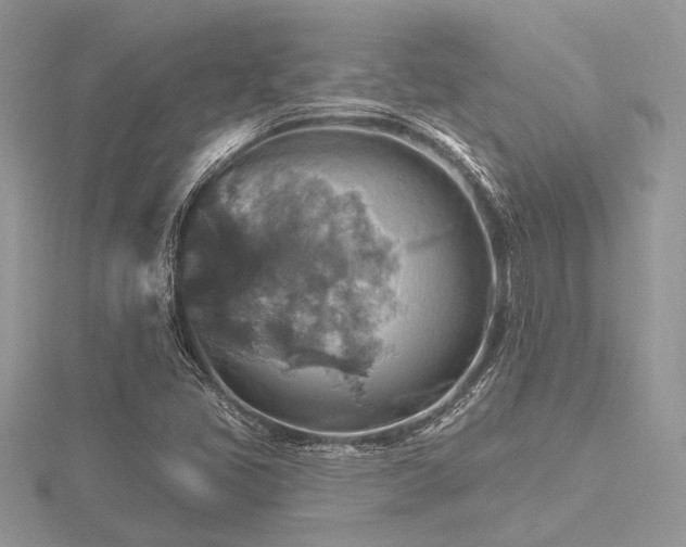 X0000116491405200912091411