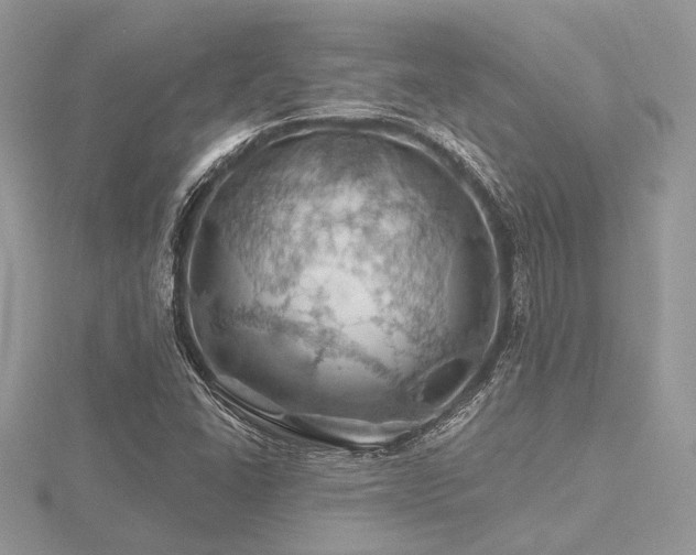 X0000116491406200912091411