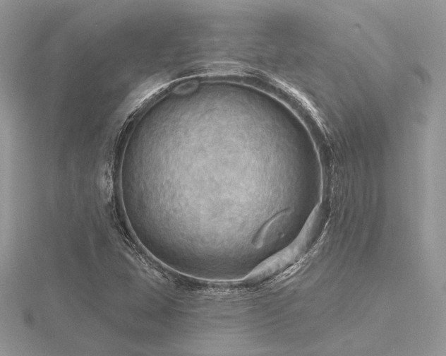 X0000116491407200912091411