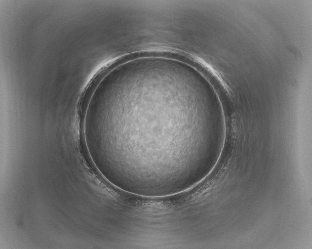 X0000116491408200912091411