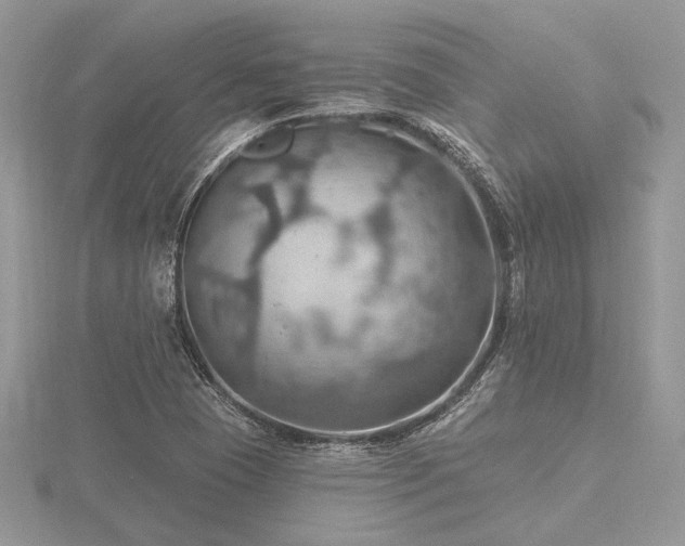 X0000116491409200912091411